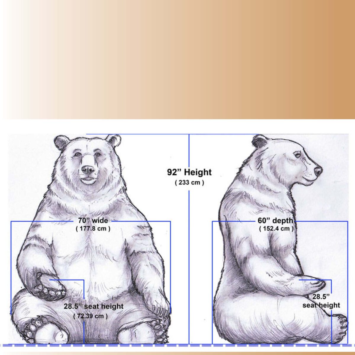 Natureworks Australia Grizzly Bear - Sitting - Concept Art showing sizes front and side view - 130011