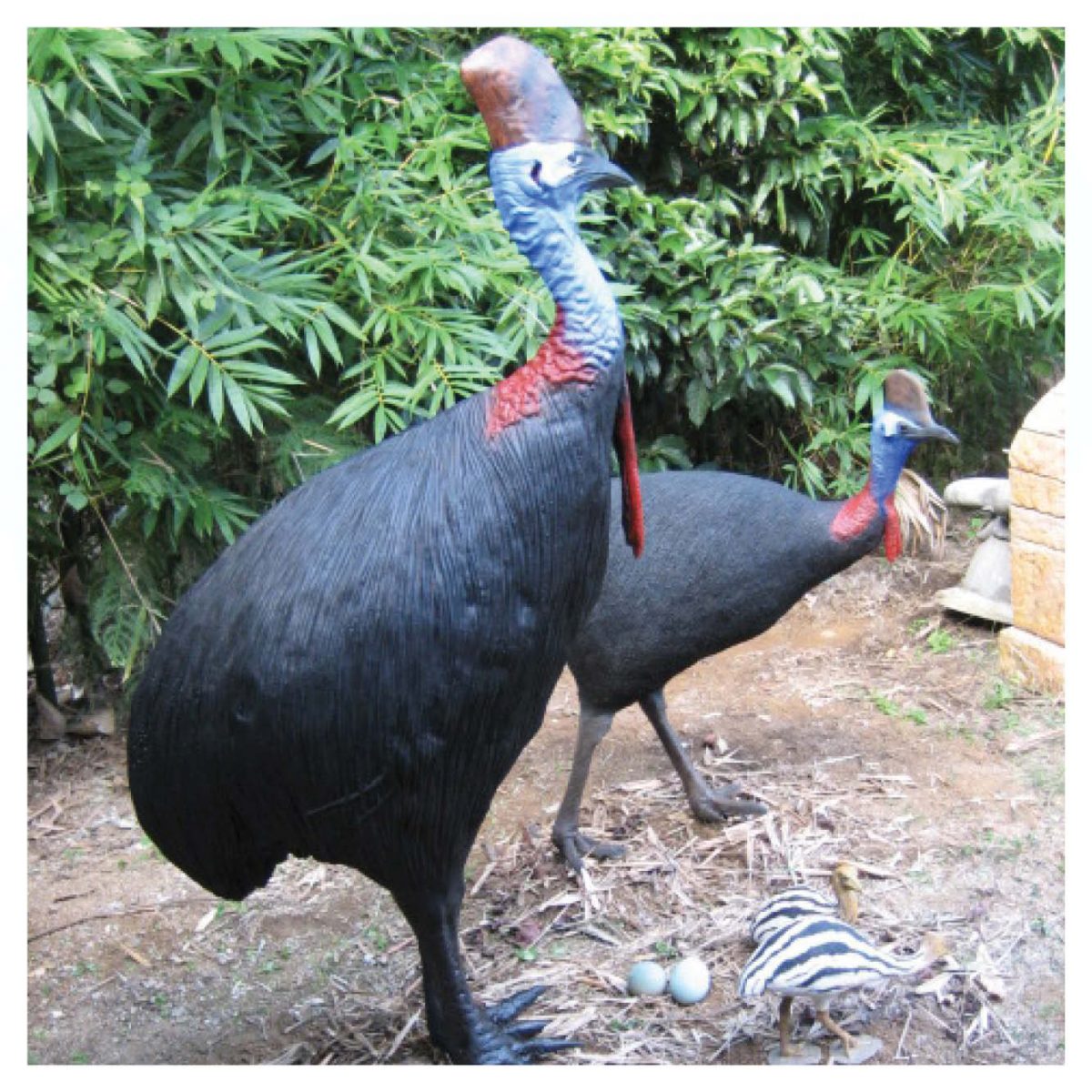 Natureworks Australia CassowarySet Female,Male&Chicks