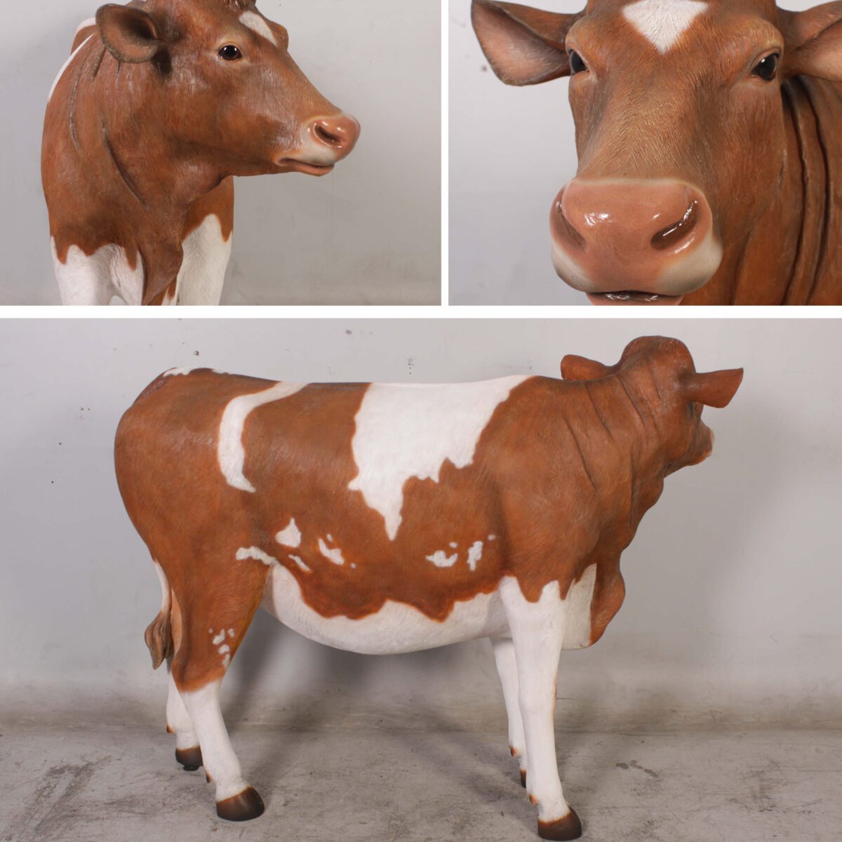 Natureworks Australia Guernsey Cow standing - Brown and white - showing various angles - SKU - 120003