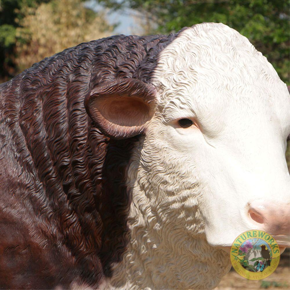 Natureworks Australia Hereford Bull - Image 2