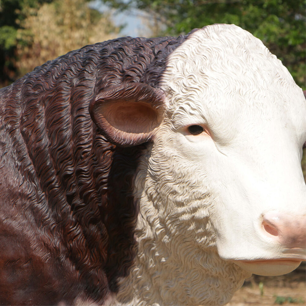 Hereford Bull statue - SKU 160034 - standing pose with head looking slightly right. - close up of head