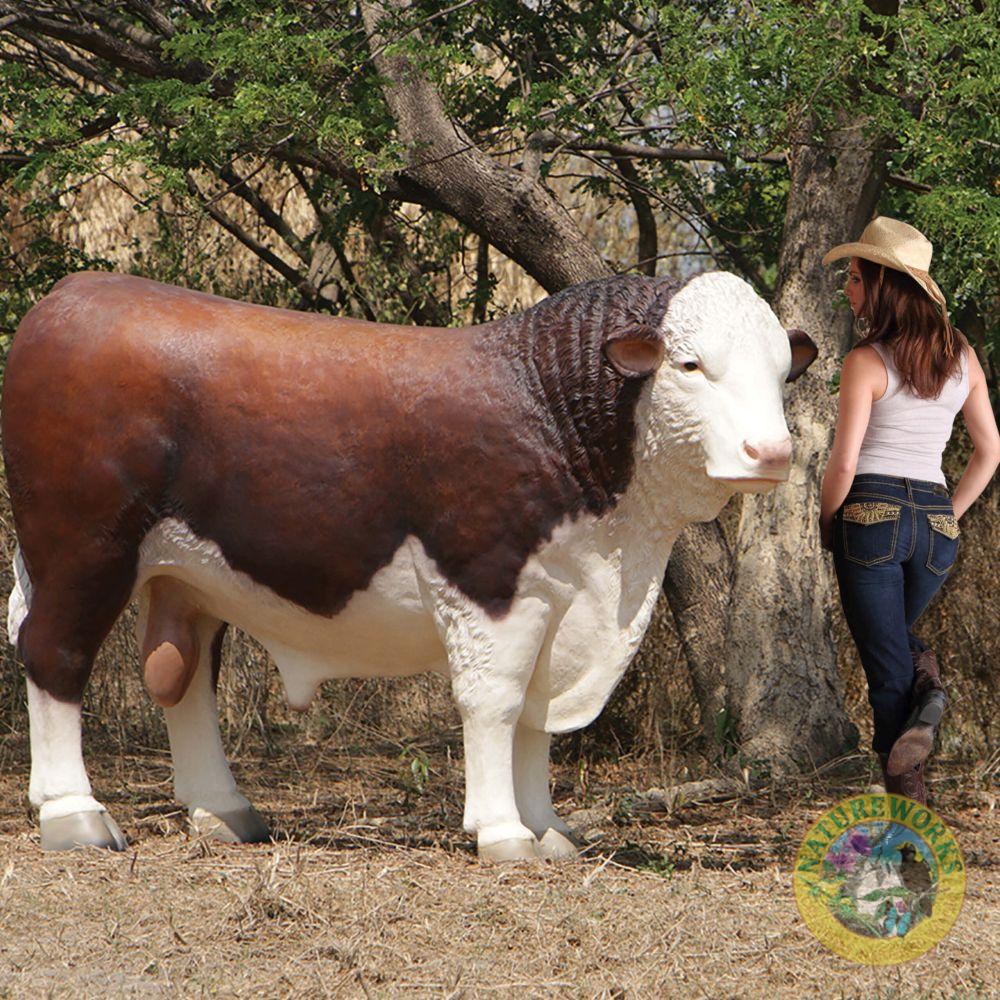 Natureworks Australia Hereford Bull - Image 4