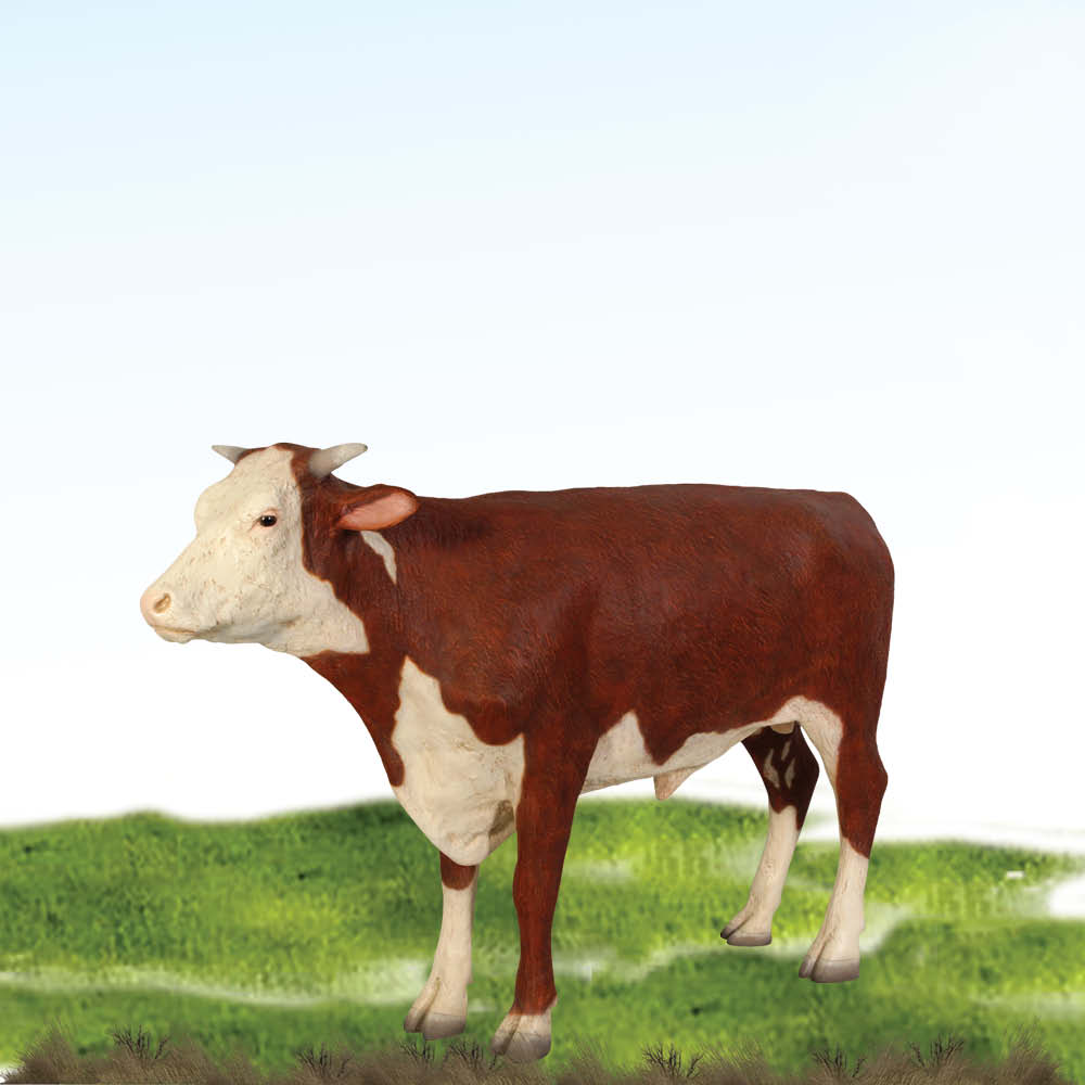Hereford Steer life-size statue