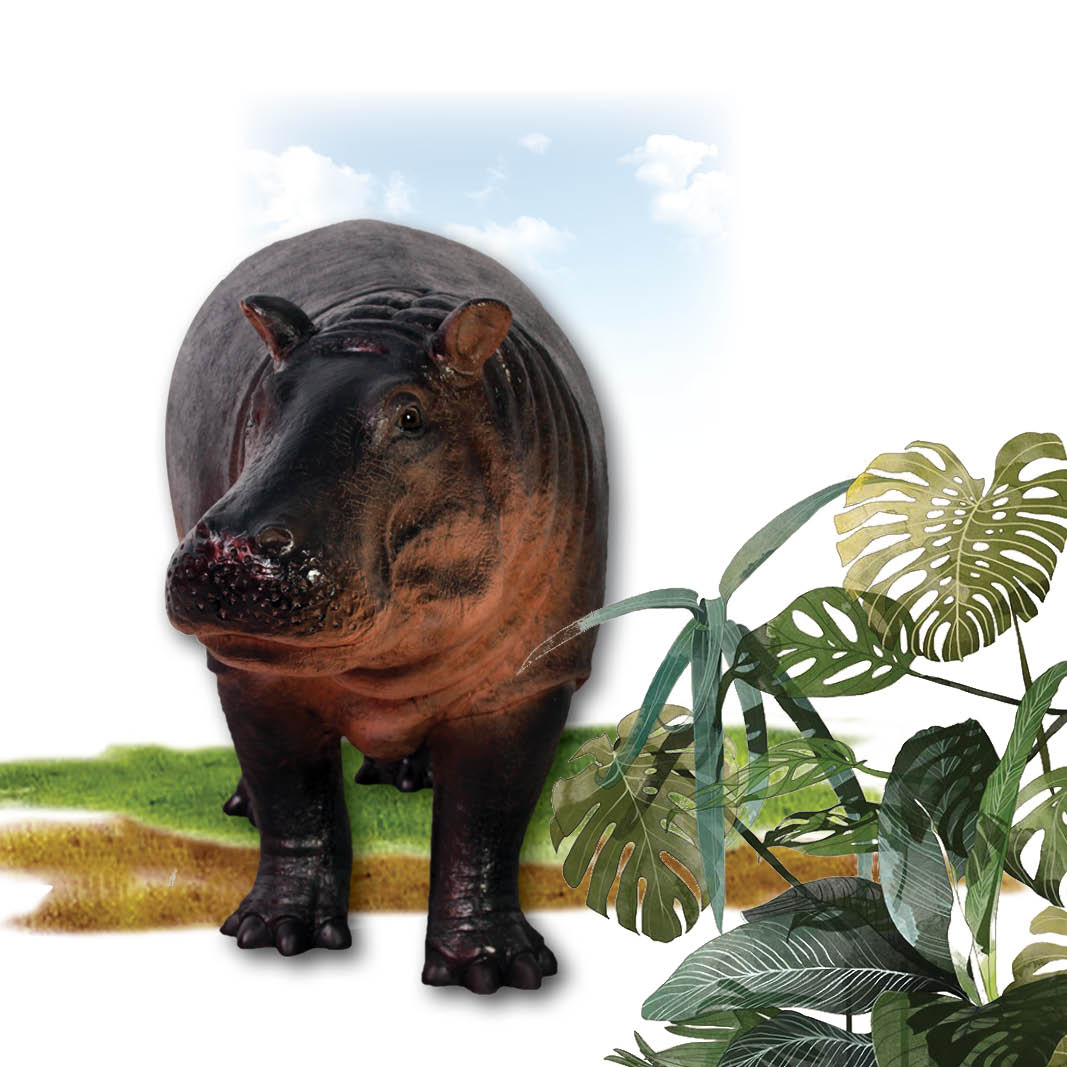 Natureworks Australia Hippopotamus calf statue standing -140043- front view