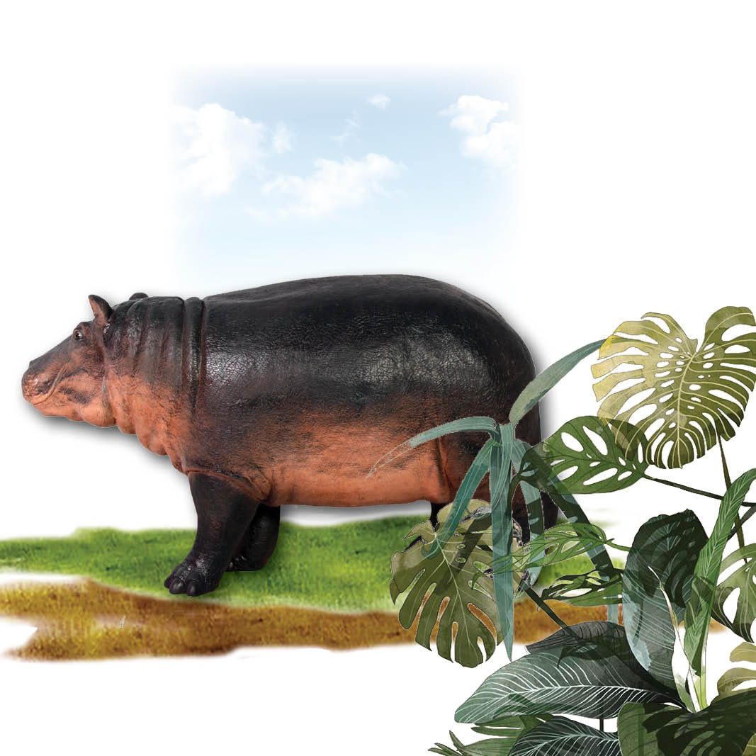 Natureworks Australia Hippopotamus calf statue standing -140043- looking left