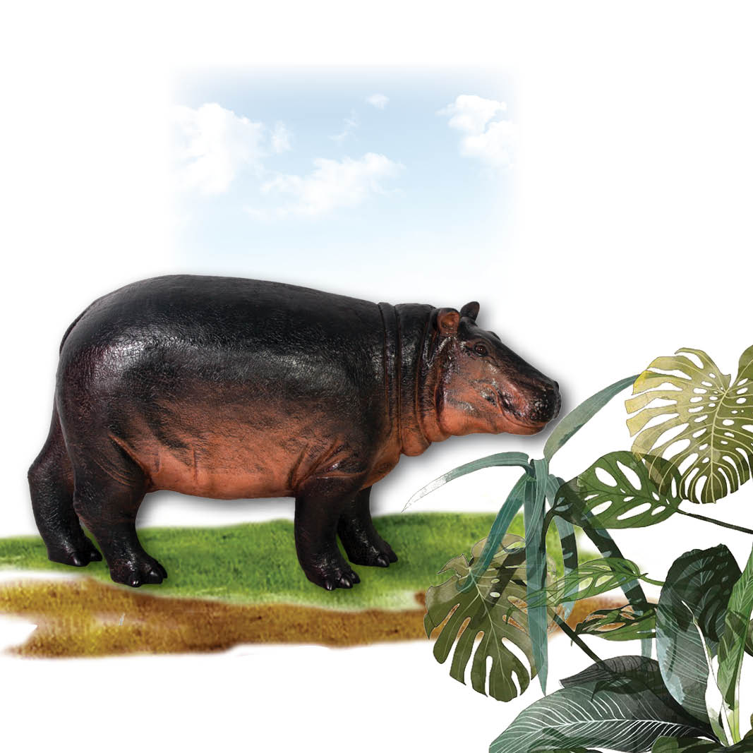 Natureworks Australia Hippopotamus calf statue standing -140043- Looking right