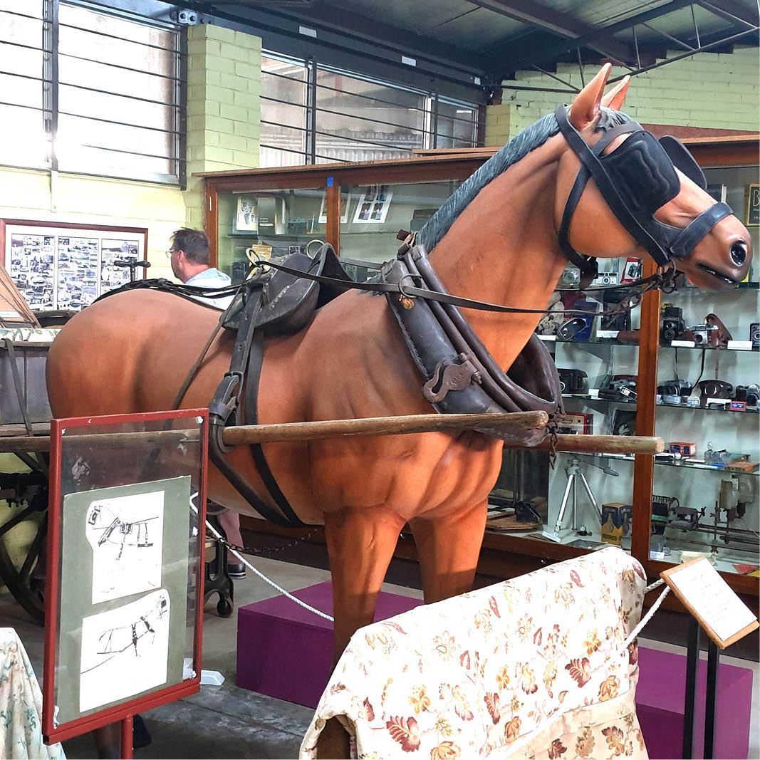 Natureworks Australia Horse Standing 7ft - Image 14