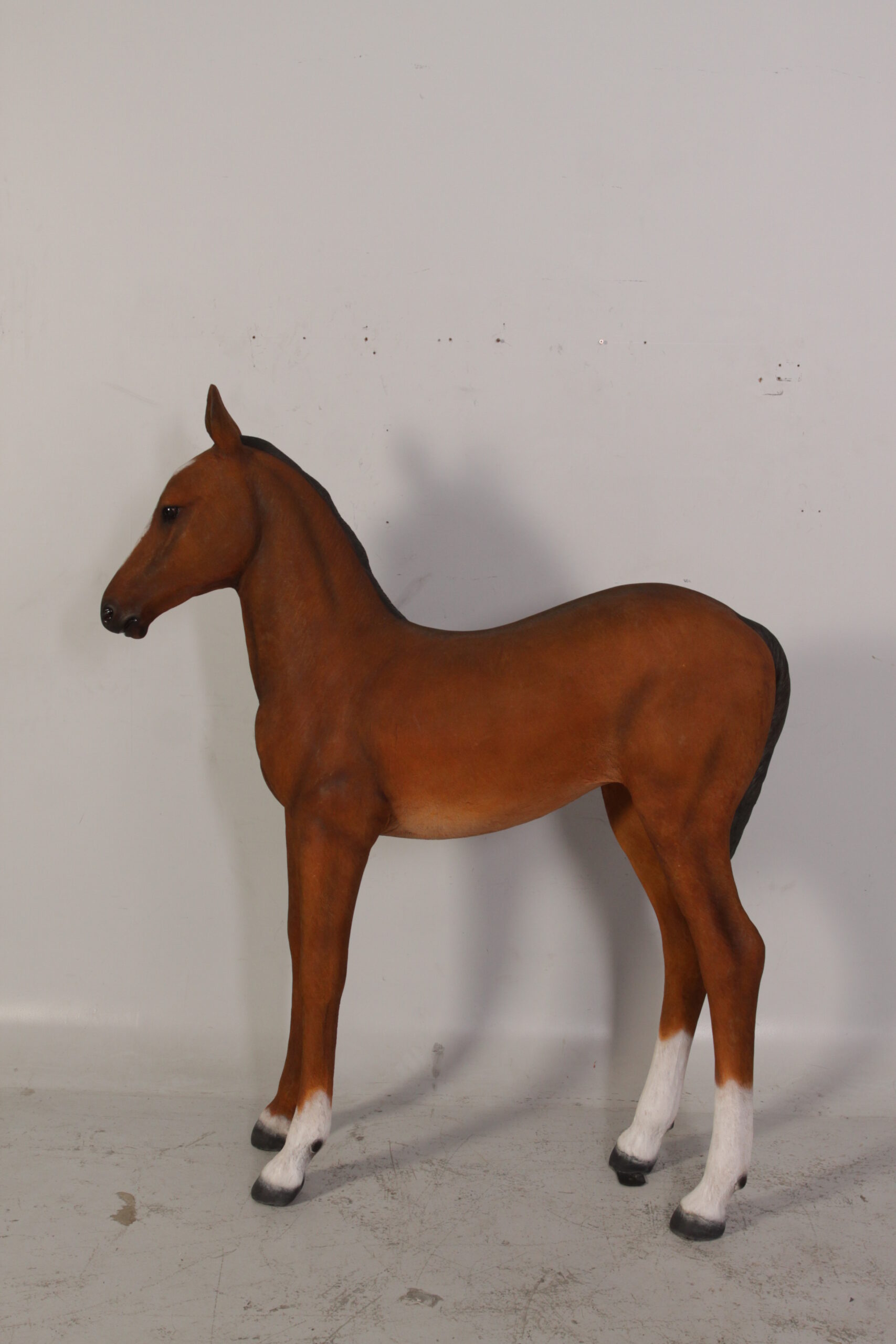 Natureworks Australia Horse Foal standing - 120043 Brown - shown with life-size horse standing - side view looking left