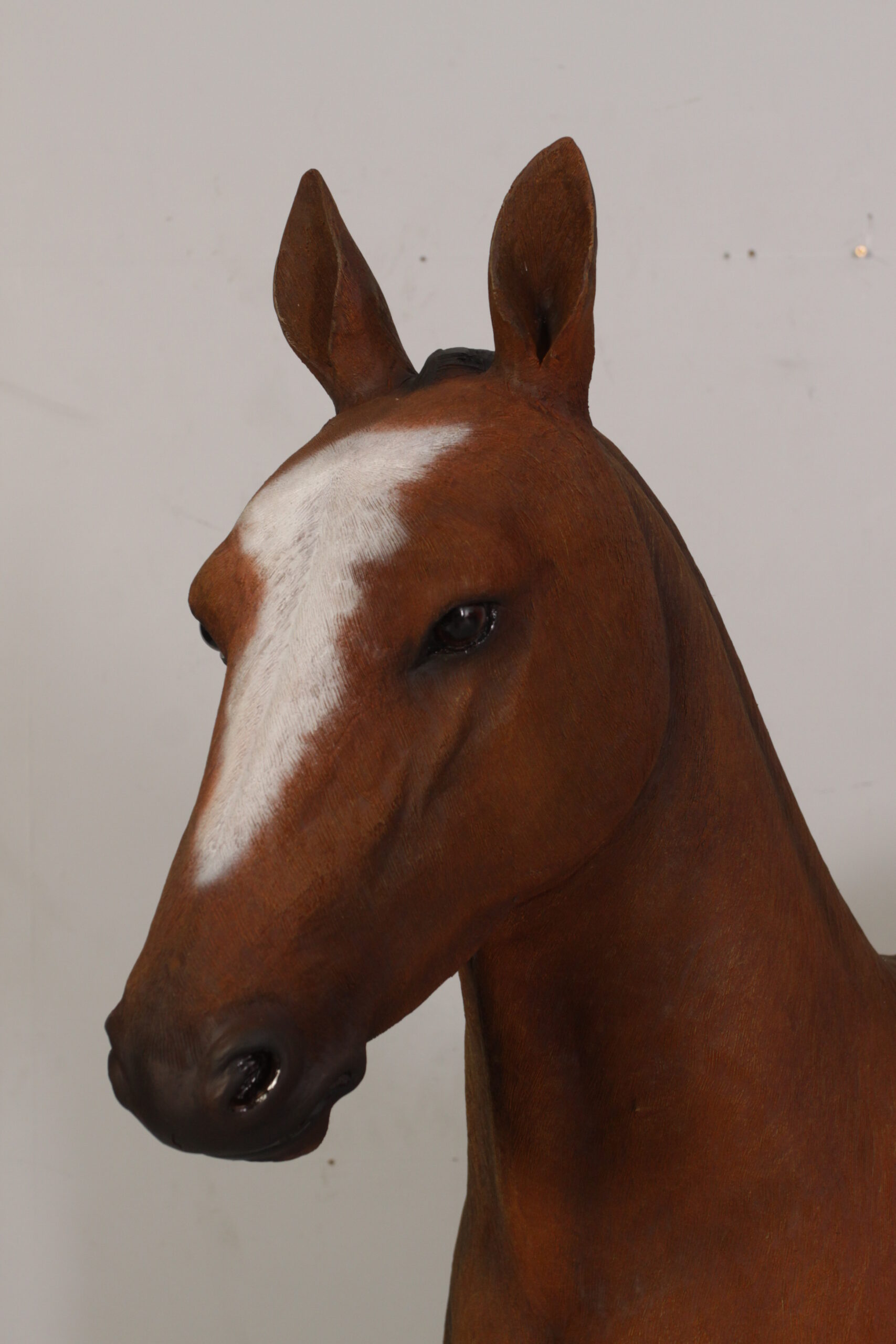 Natureworks Australia Horse Foal standing - 120043 Brown - shown with life-size horse standing - head view