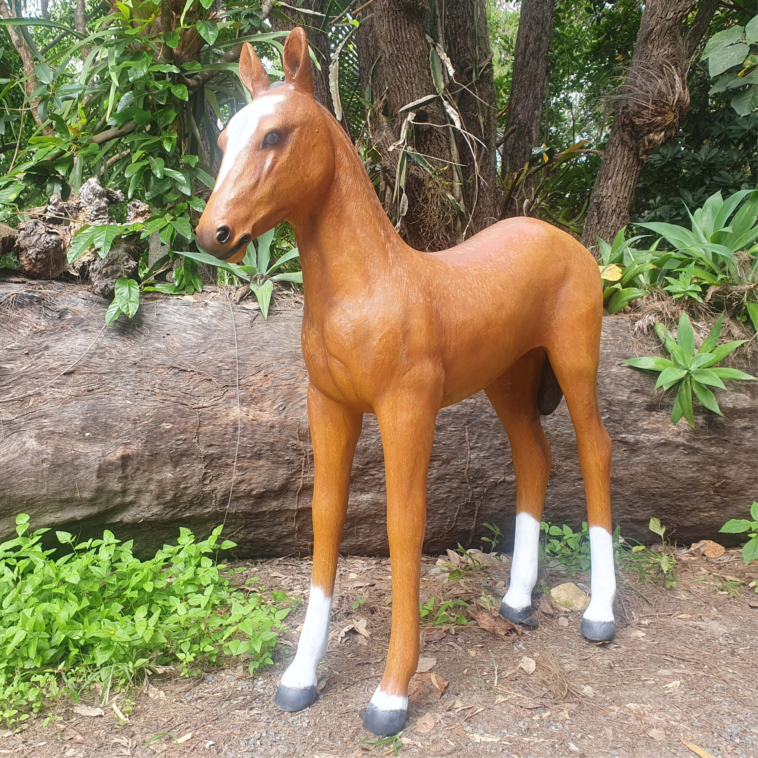 Natureworks Australia Horse foal - standing statue - 120043- frotn angle view - show side- taken outside at Natureworks studio