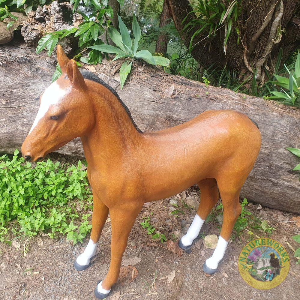 Natureworks Australia Horse Foal Statue - Image 11