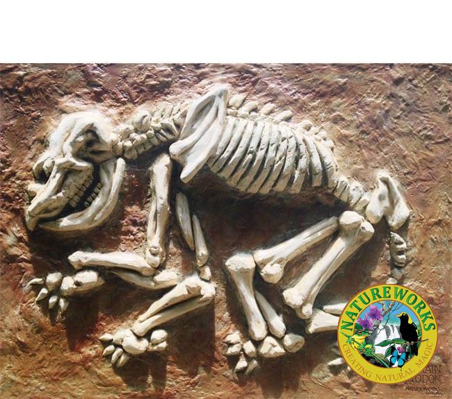 Hulotherium Fossil Dig Diprotodon