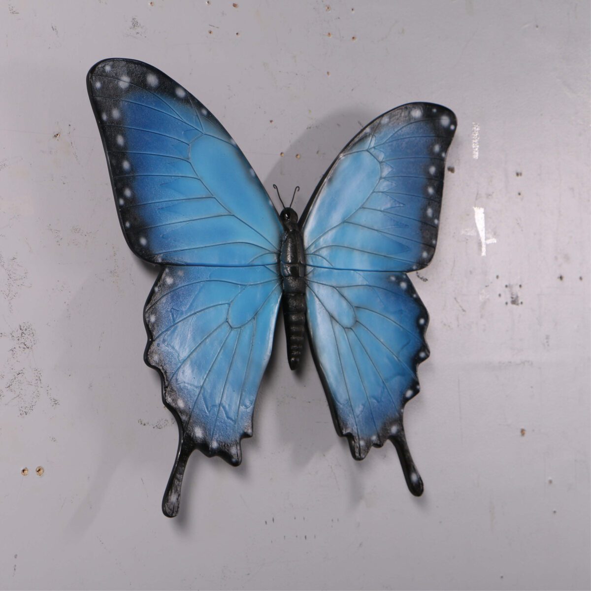 Natureworks Australia Ulysses Butterfly - Wall Decor - Image 5