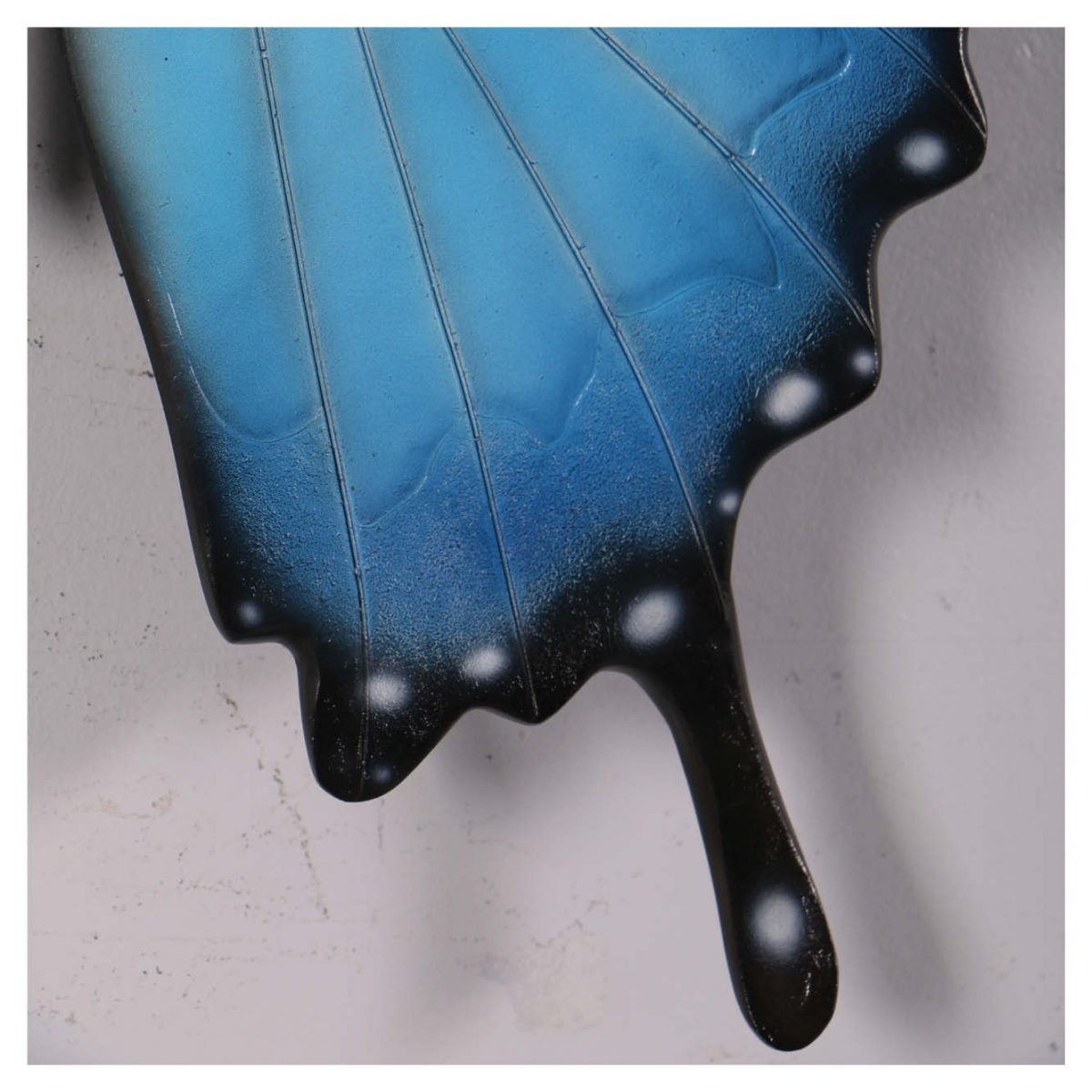 Natureworks Australia Insects Invertebrates Butterfly Wall decor cm wing tip Product Image V px px