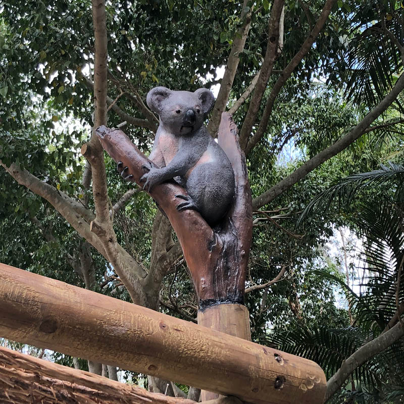 Natureworks Australia Koala in tree fork 090051-installed at Currumbin Sanctuary Koala exhibit