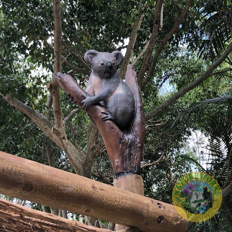 Natureworks Australia Koala in tree fork 090051-installed at Currumbin Sanctuary Koala exhibit