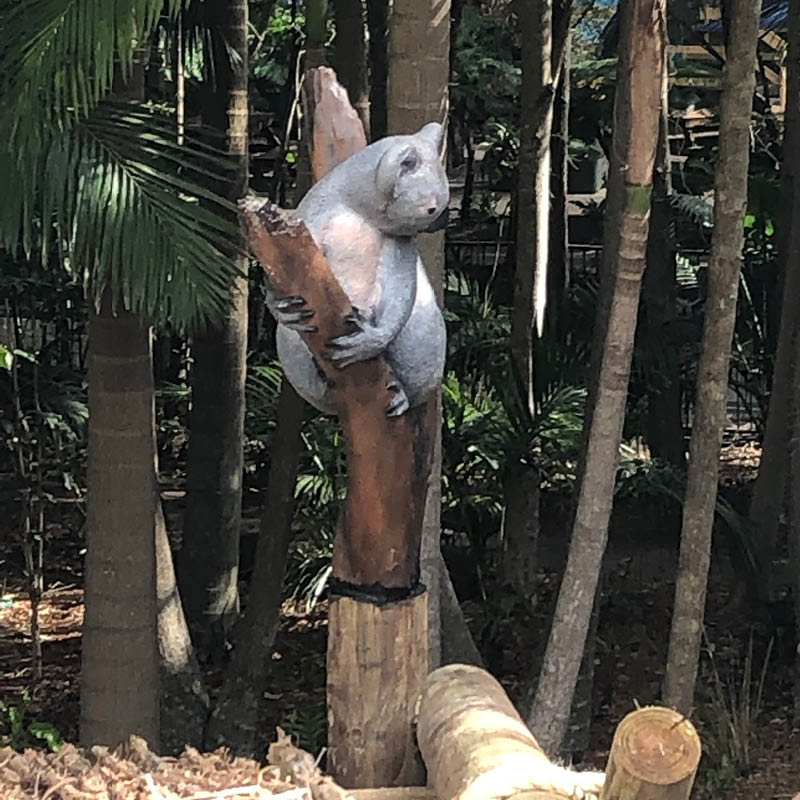 Natureworks Australia Koala in tree fork 090051-installed at Currumbin Sanctuary Koala exhibit-side view