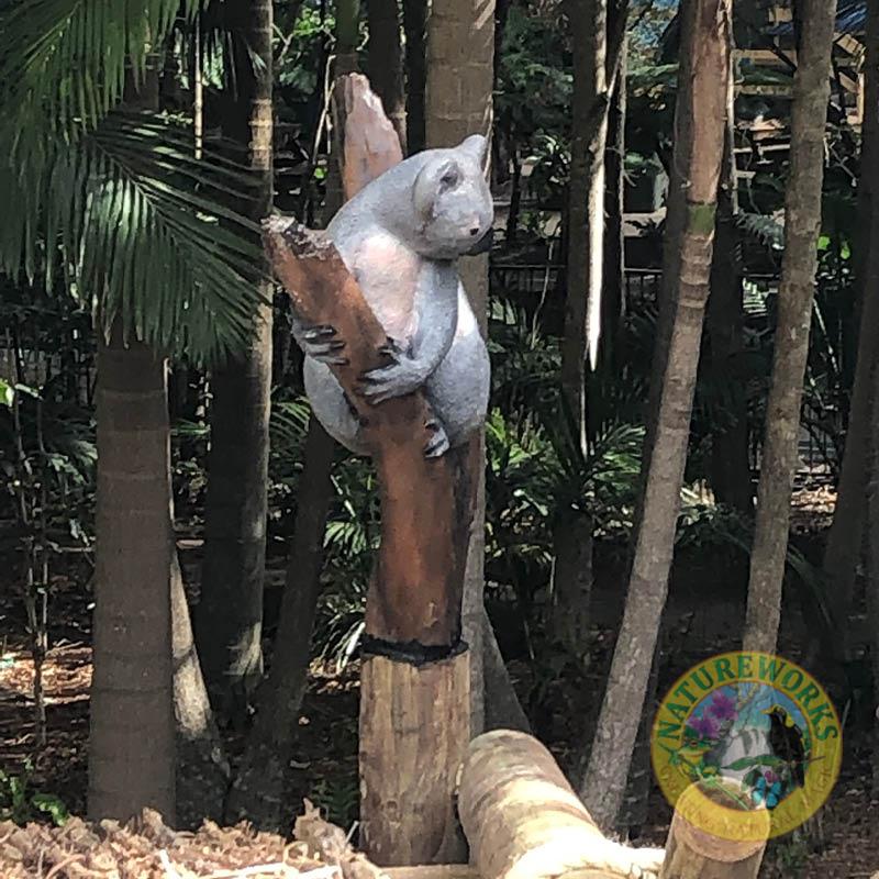 Natureworks Australia Koala in tree fork 090051-installed at Currumbin Sanctuary Koala exhibit-side view