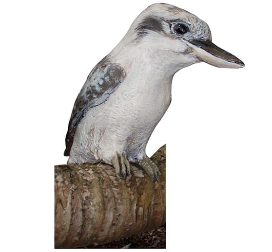 Kookaburra