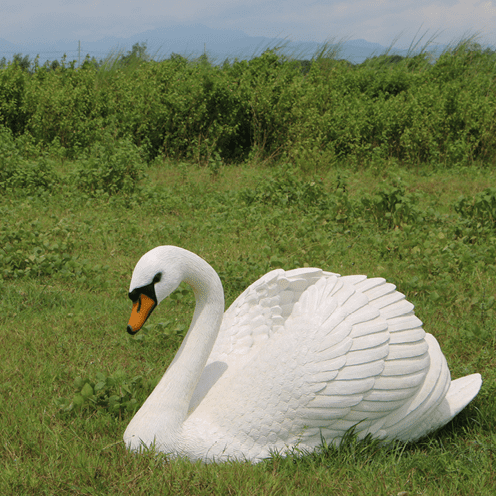Swan Largerthanlifesize
