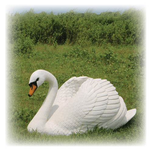 Larger Than Life size Birds English Swan Image
