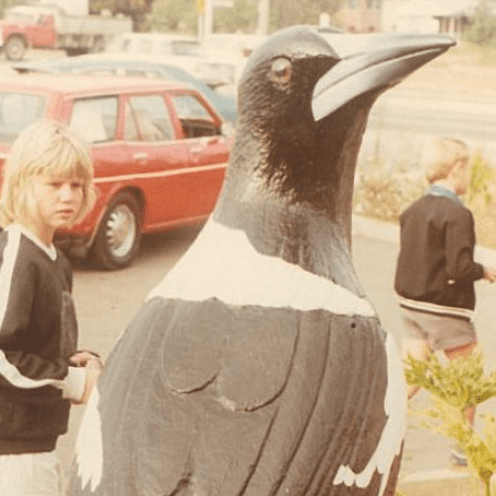 Larger Than Life size Birds Magpie Giant on Roof Image