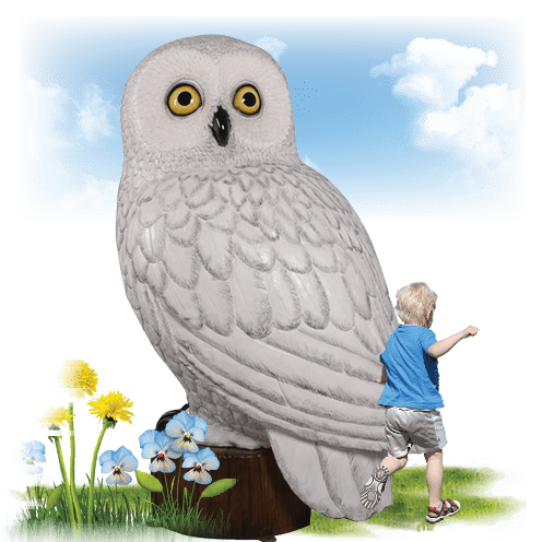 Natureworks Australia Larger Than Life size Birds Snowy Female Owl Image