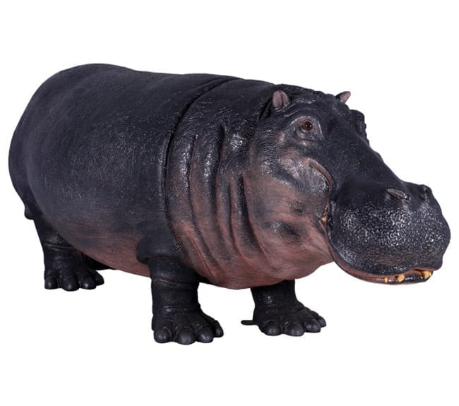 LifeSize Hippopotamus Statue