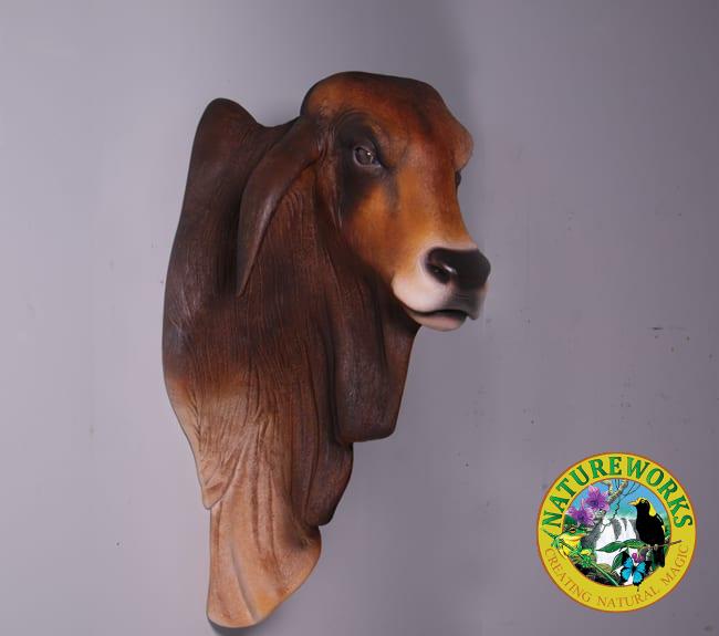 Natureworks Australia Life Size Brahman Bull Head And Shoulder Wall Mount