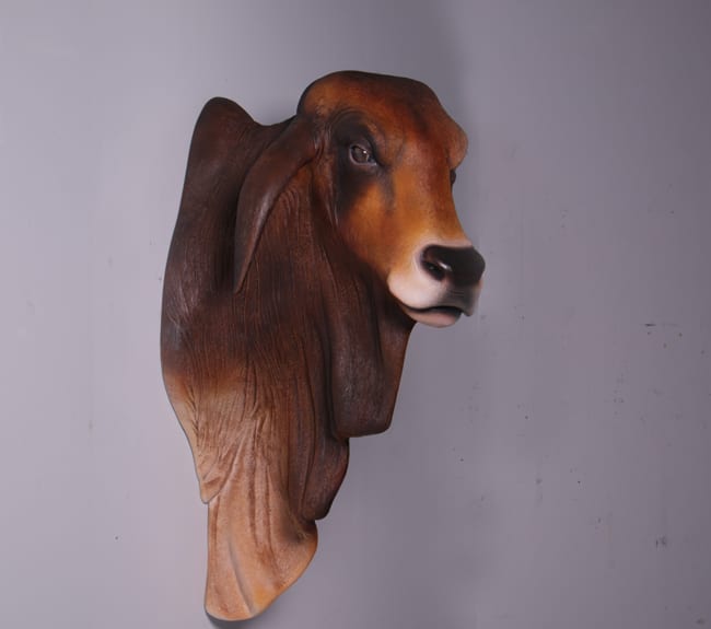Natureworks Australia Life Size Brahman Bull Head And Shoulder Wall Mount