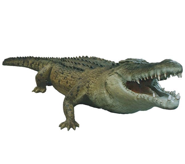 Natureworks Australia ftCrocodilesculpture