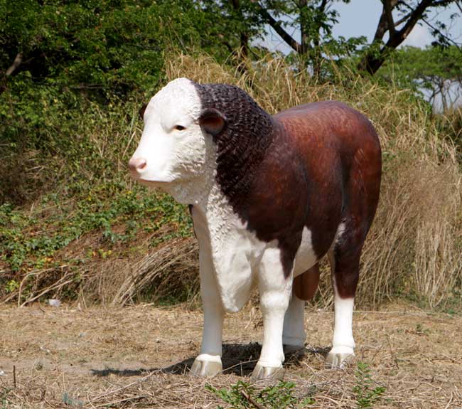 Lifesize Hereford Bull Statue