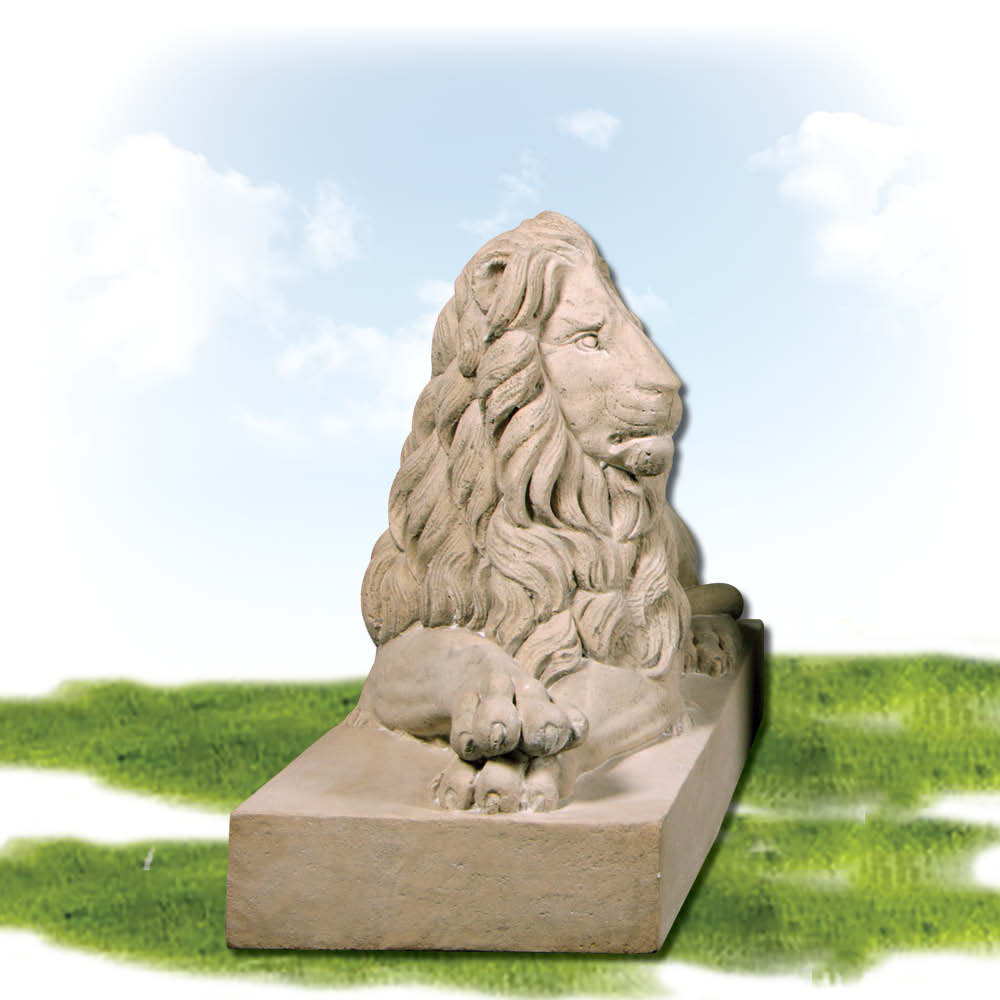 LionResting LookingLeft