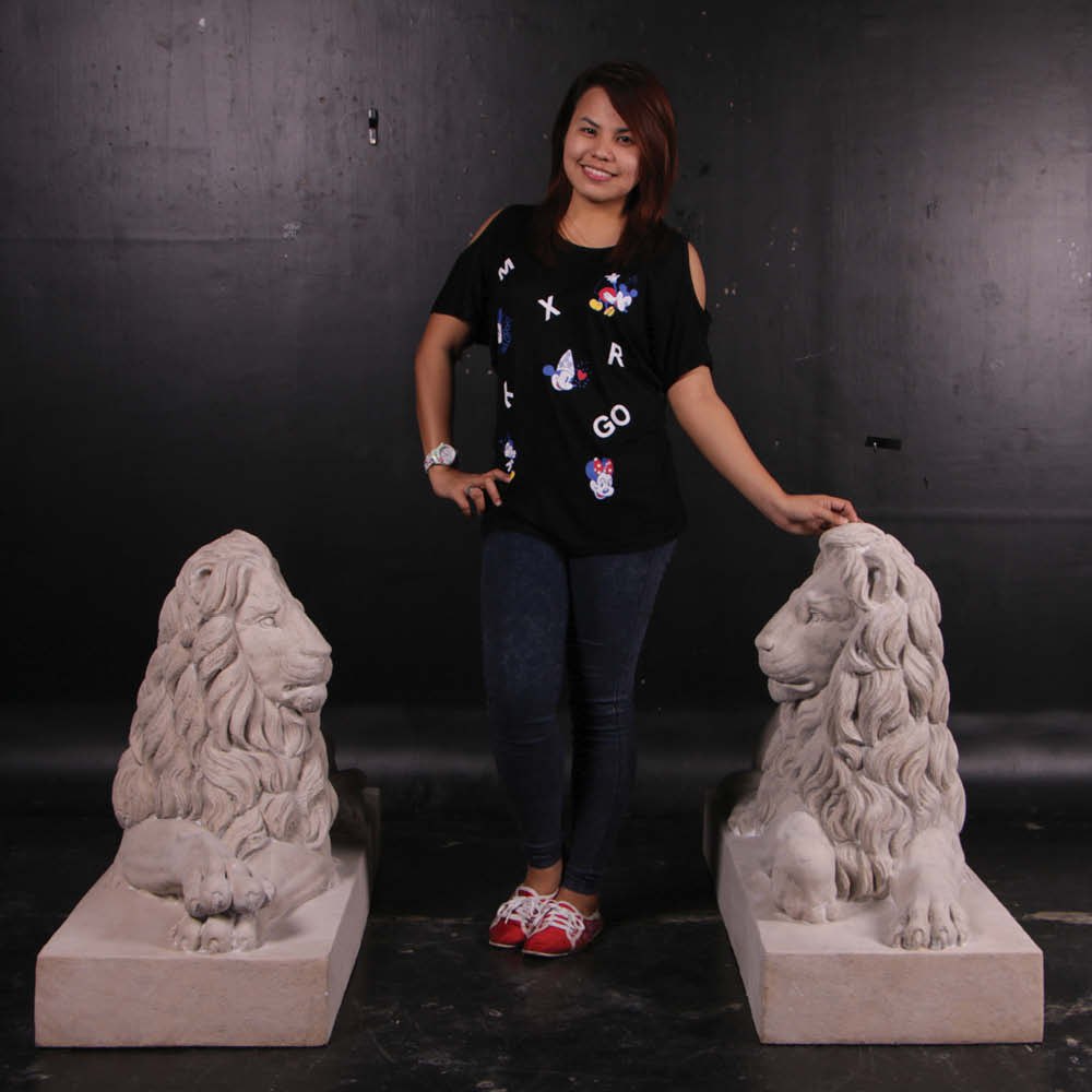 Natureworks Australia LionResting LookingLeft