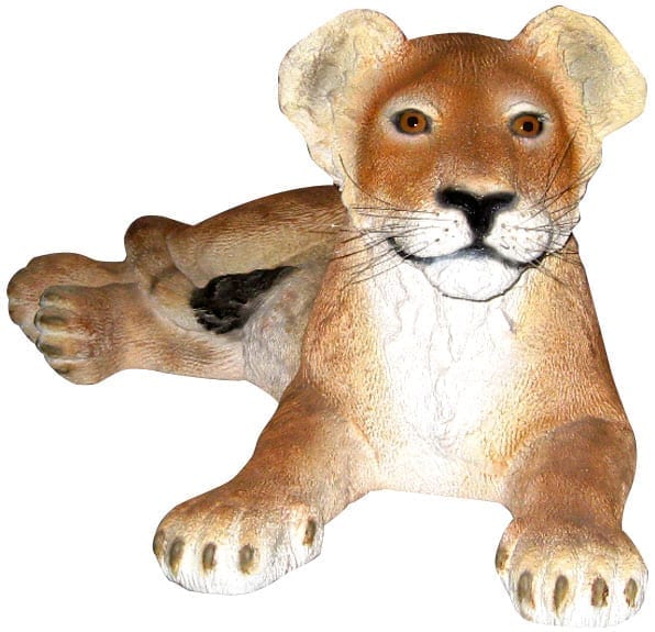 Lion Cub Lying