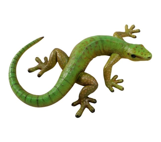 Madagascar day gecko repolica
