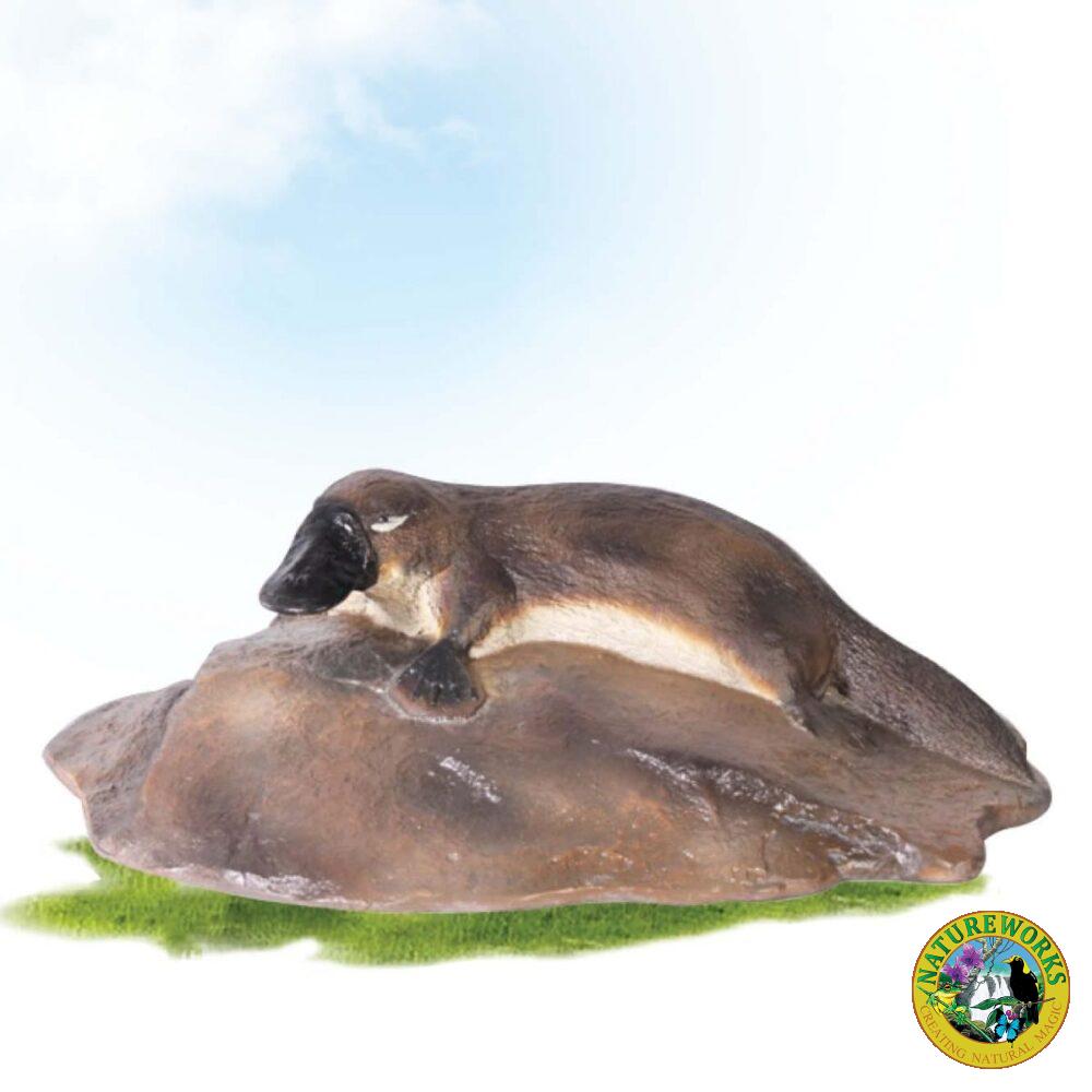 Platypus On Rock Large