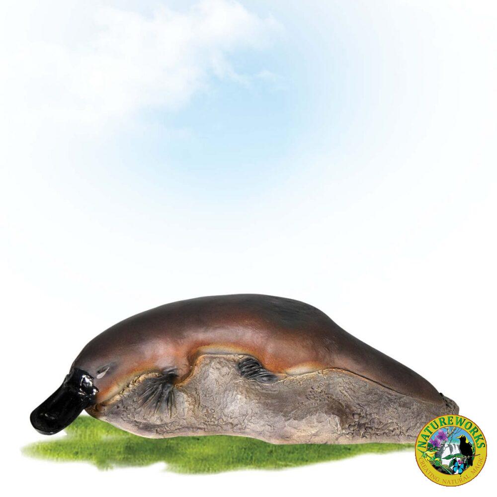 PlatypusOnRock Small