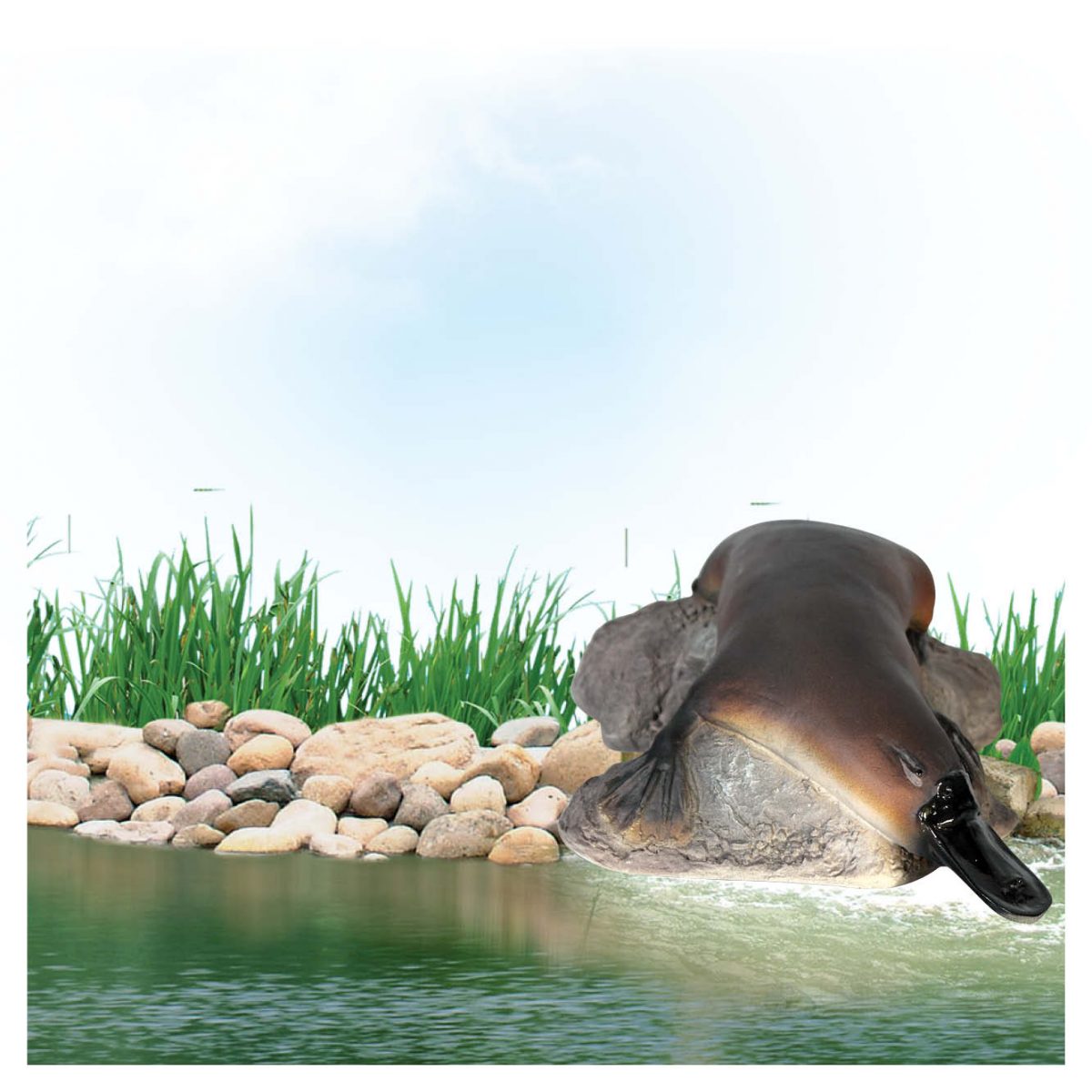 Natureworks Australia Platypusonrock small