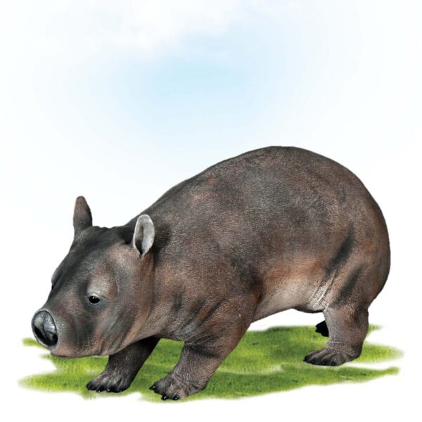 Fibreglass Northern Hairy Nosed Wombat Sculpture.