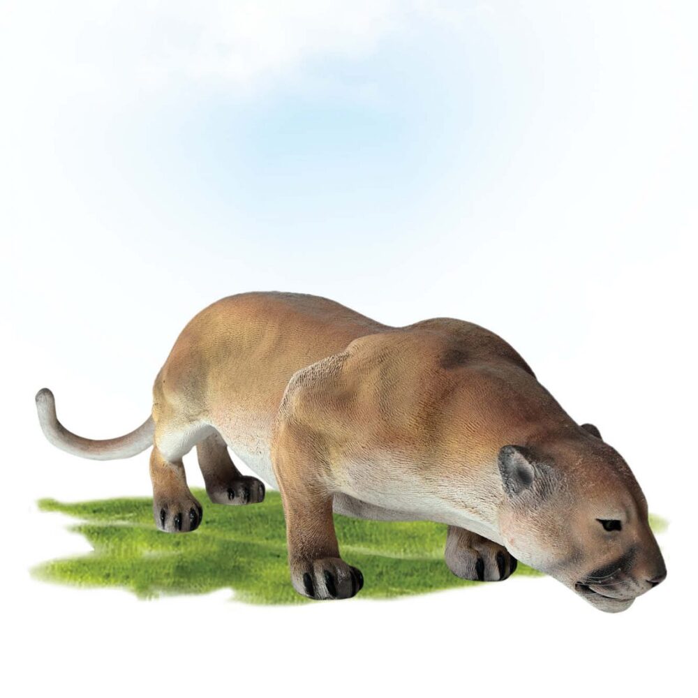 Fibreglass Cougar Sculpture Crouching.