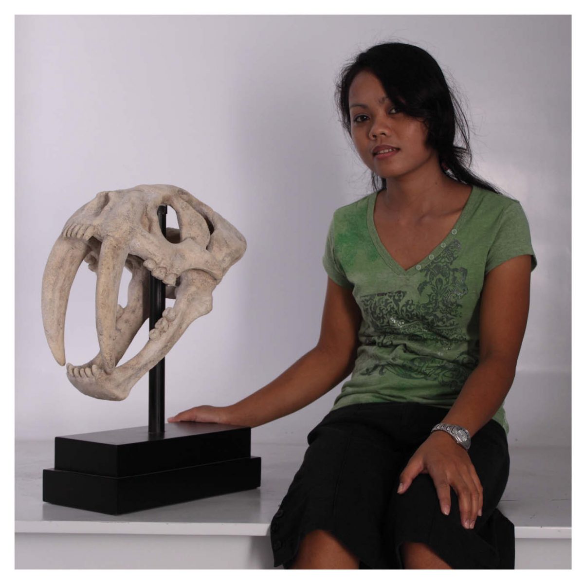 Natureworks Australia Sabretoothtigerskullonbaseplate museumreplica