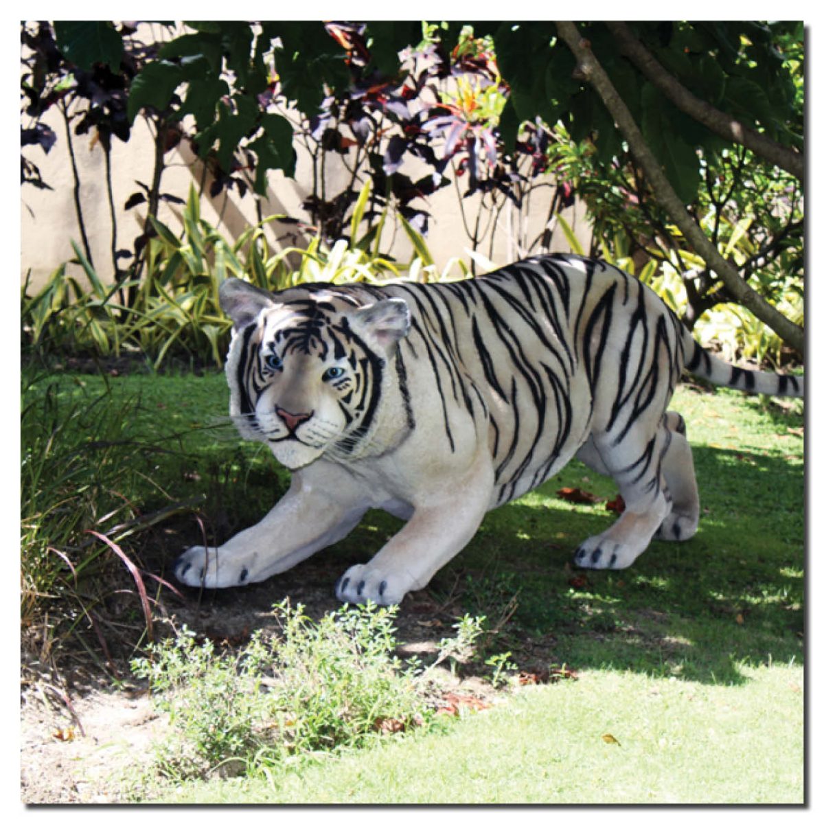 Natureworks Australia Siberian tiger crouching