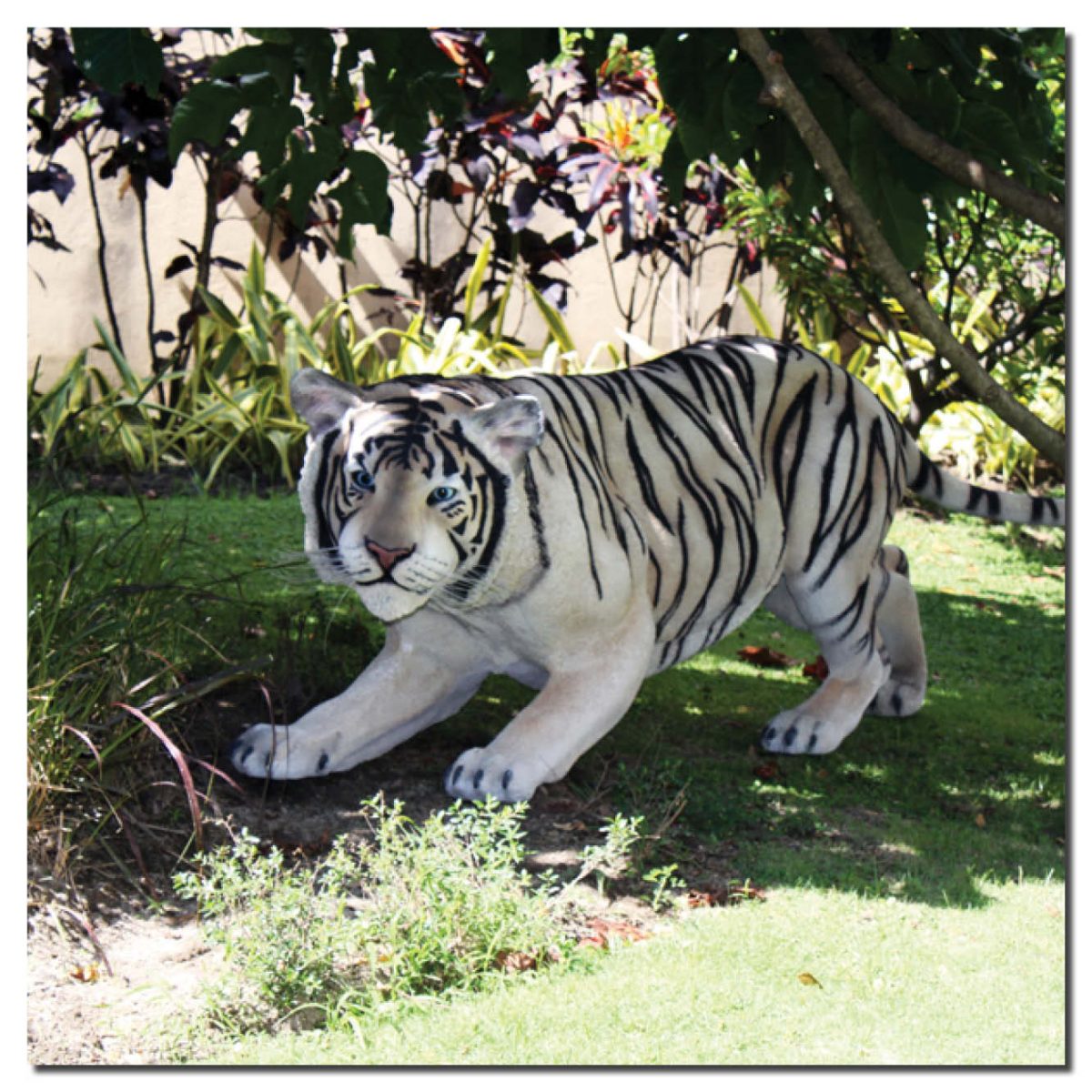 tiger pilates pose｜TikTok Search