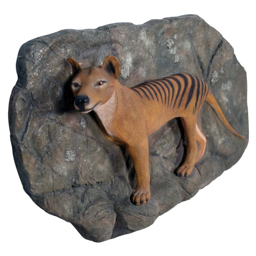 Thylacine TasmanianTigeronPlinth Wallmount
