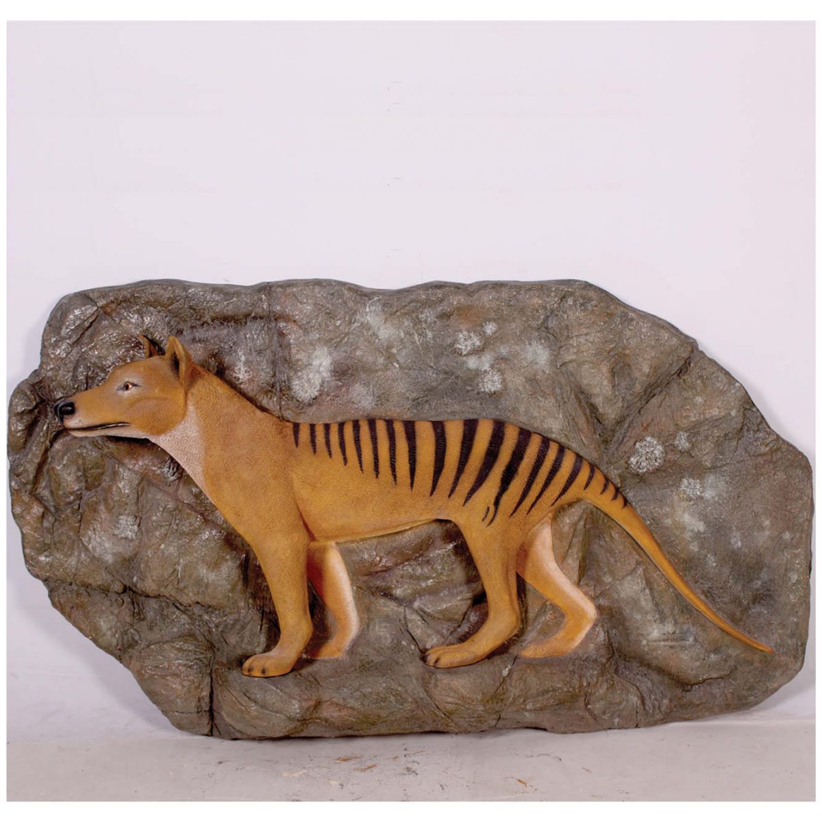 Natureworks Australia Tasmanian Tiger On Rock Plinth
