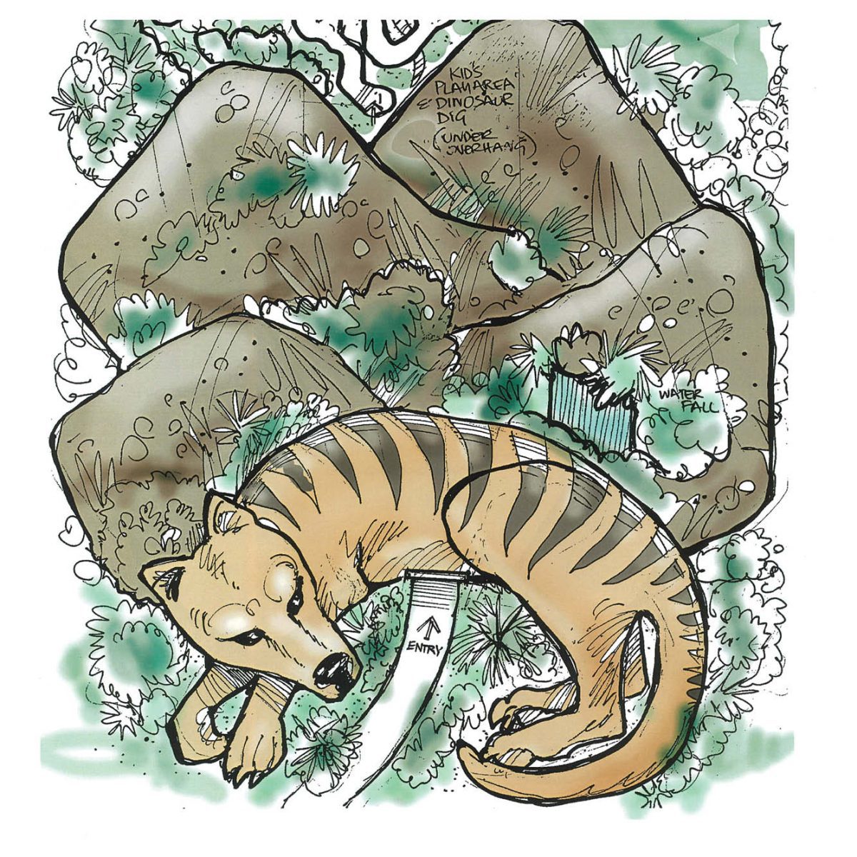 Natureworks Australia Thylacine Tasmaniantiger LargerThanLife size