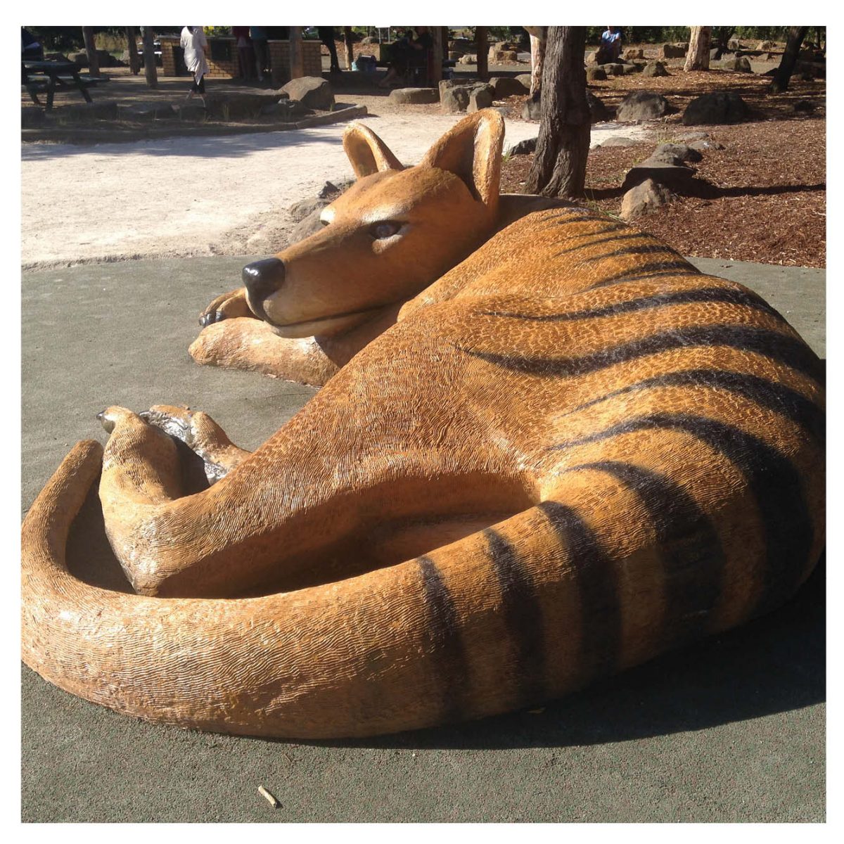 Natureworks Australia Thylacine Tasmaniantiger LargerThanLife size