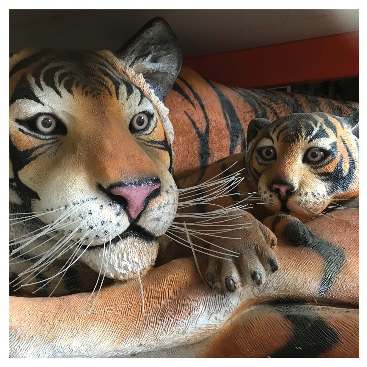 Natureworks Australia BengalTigressRestingWithCub.TigerStatue closeupofface