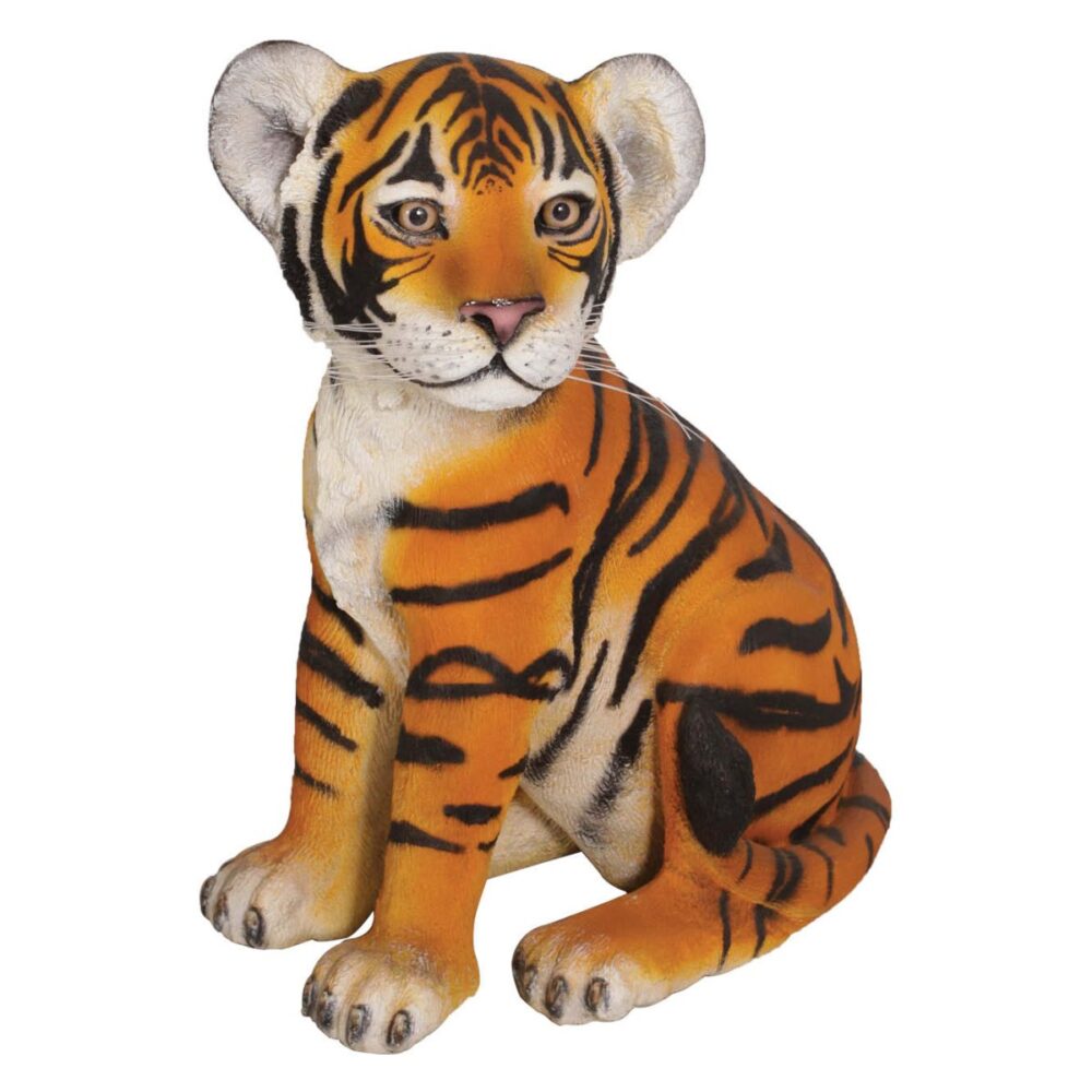 Bengal Tiger Cub Sitting